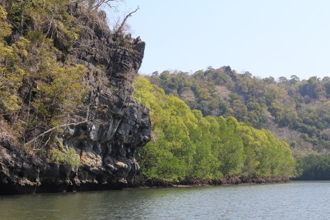 Hey, Jesse, this looks like your kind of place to jump off of!