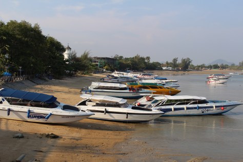 A small sampling of the tour boats