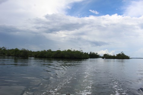 The river entrance is here somewhere...