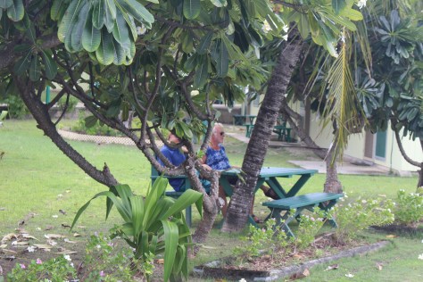 TC doesn't like having his photo posted, so this might be he with Tim waiting for the bus.