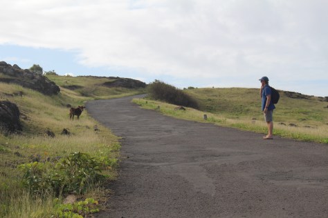 Rodrigues (rare pic of TC, who doesn't like being photographed)