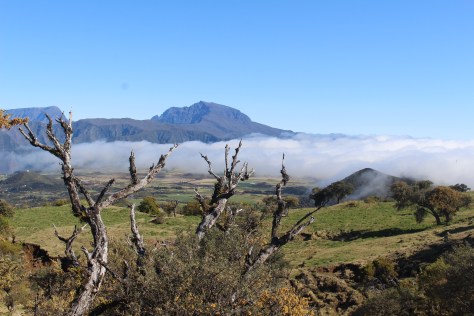 En route to the volcano