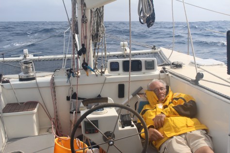 Liam managing the quesies 