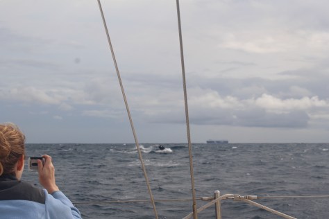 Unfortunately my camera chose to focus on Nora rather than the whale...