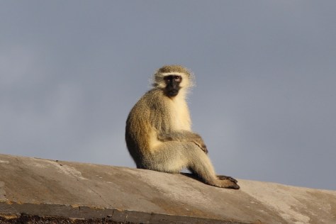 On the roof of the inn where we stayed