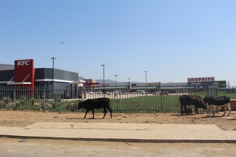 Reminds me of the "Eat Mor Chikin" commercials...