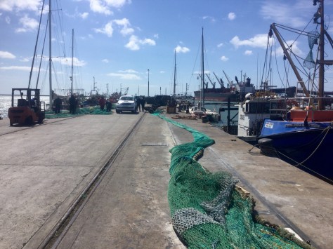 No Regrets at the fisheries pier