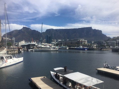 The Victoria & Alfred waterfront, nice but very touristy, a long walk from where we are.