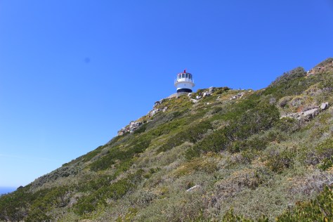 At the spectacular Cape of Good Hope now, this is the old lighthouse -- decommissioned because it was too high, and frequently could not be seen in the clouds.