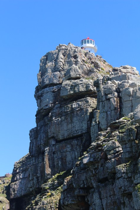 From the Point looking back