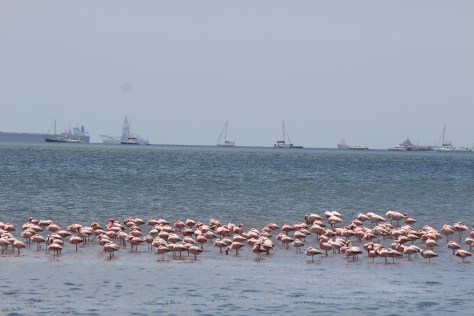 No Regrets in the background...