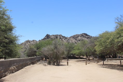 ...to this oasis (literally; there is water here), where we stopped for lunch.