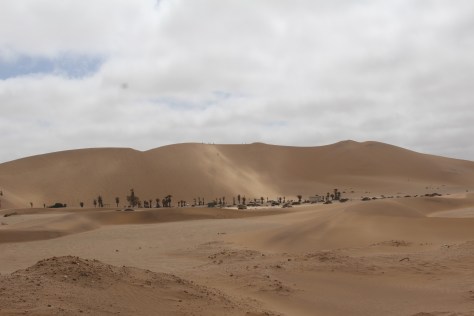 Our first glimpse of Dune 7. We thought we would be trying sand boarding...