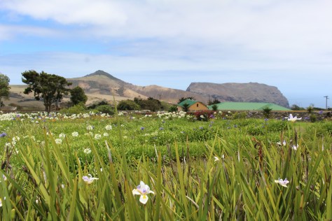 Not a bad view from prison