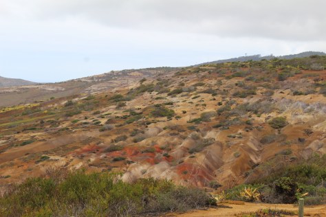 Interesting colors in the earth