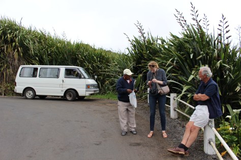 The countryside is covered with flax plants, that used to be a source of fiber for making rope. Mr Peters shows us how the fibers are extracted from the leaves.