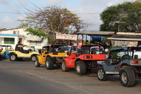 It's the standard transport on this island