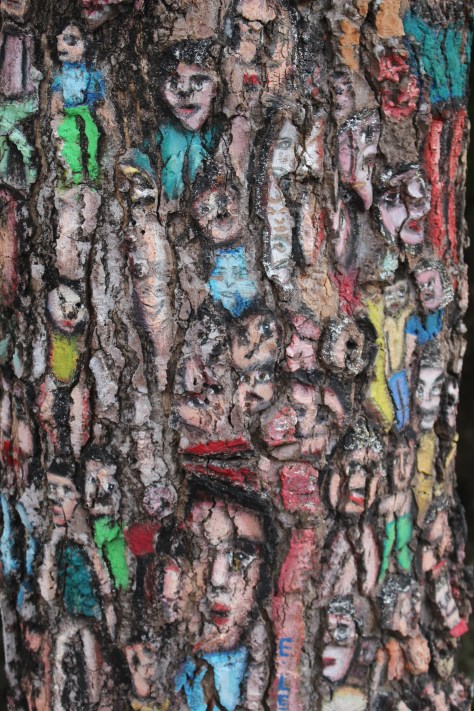 This is a tree trunk...