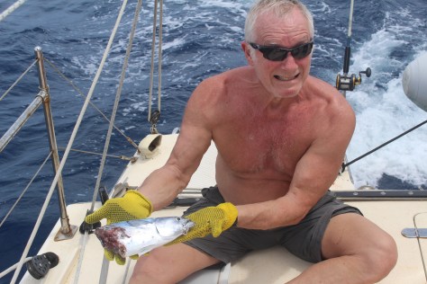 Tim shows the fish we caught that provided dinner for something else before we reeled it in! Still enough for a meal aboard.