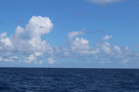 Typical trade wind conditions 