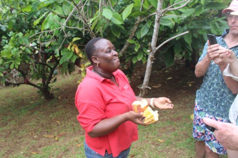 Our guide at the delightful Spice and Herb Garden
