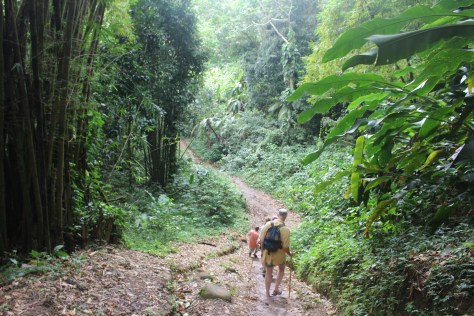 Hiking to the waterfall