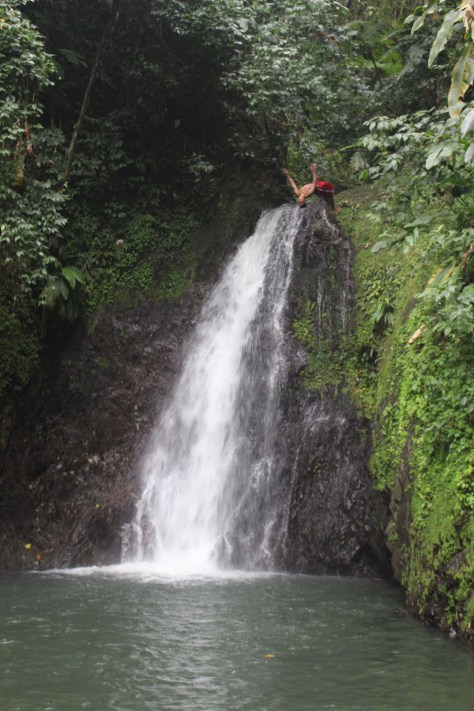 Note diver doing a back flip